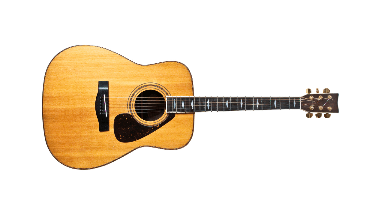 ?¿Qué guitarra es mejor para guitarristas principiantes ?? - -