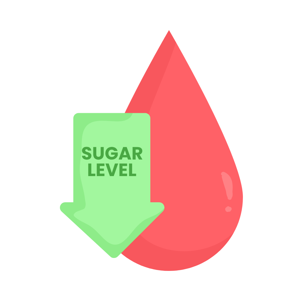 Bundle diabetes consciente - Diabetes -